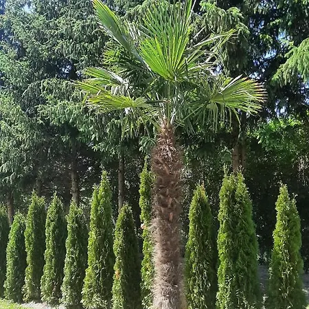 Zoeldhaz Panzio 4* Gyenesdias