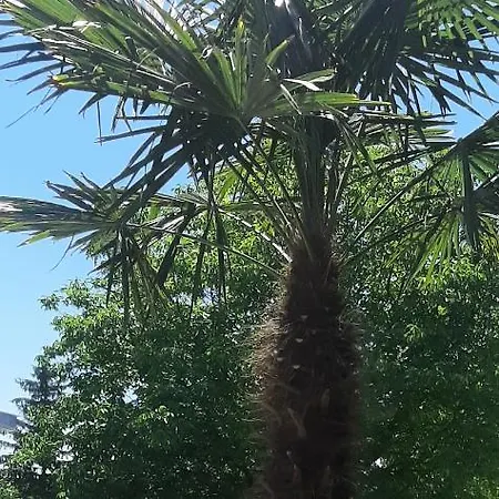 Zoeldhaz Panzio Bed & Breakfast Gyenesdias