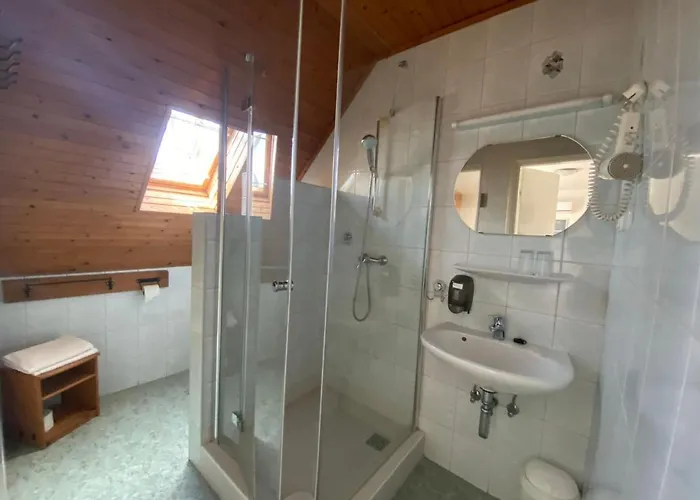 Zoeldhaz Panzio 4*